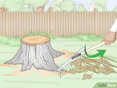 Сжечь пни, шаг 1