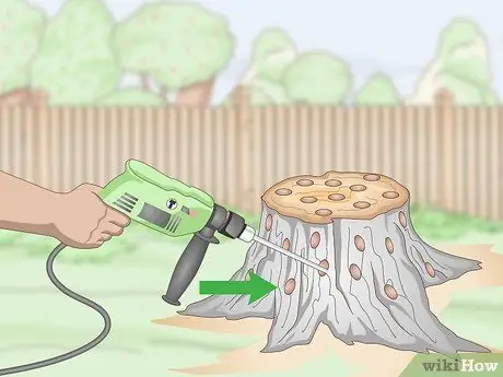 Сжечь пни, шаг 4