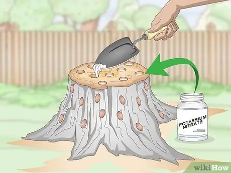 Сжечь пни, шаг 5