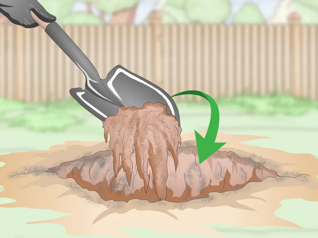 Как сжигать пни деревьев: 13 шагов (с иллюстрациями)