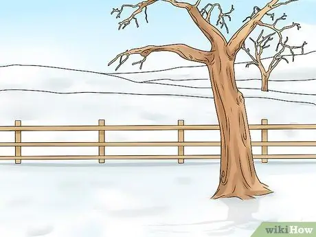 Отрежьте ветку от дерева Шаг 1