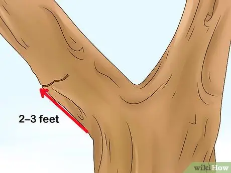 Отрежьте ветку от дерева Шаг 3