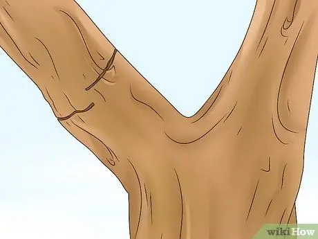 Отрежьте ветку от дерева Шаг 4