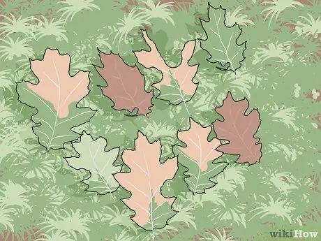 Лечить дубовый уилтс Шаг 01