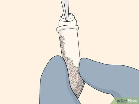 Лечить Дуб Уилтс Шаг 04