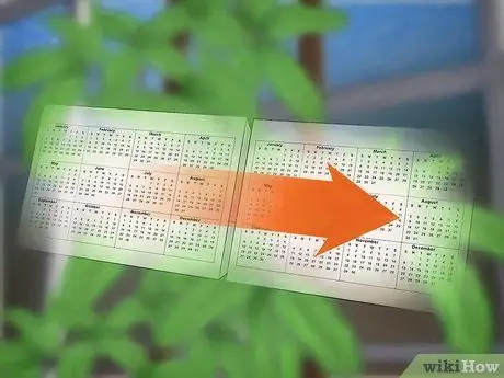 Выращивание чувствительного растения (Mimosa pudica) Шаг 13