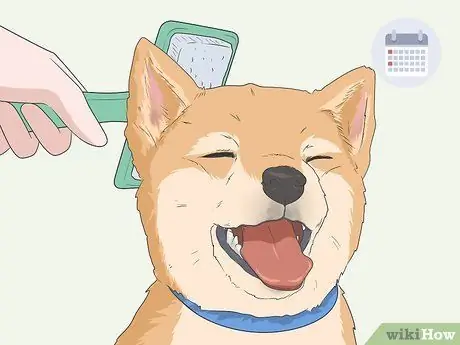 Контроль за шерстью собак в птичнике, шаг 1