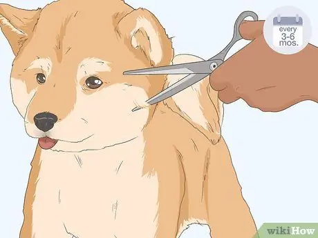 Контроль за шерстью собак в птичнике, шаг 5