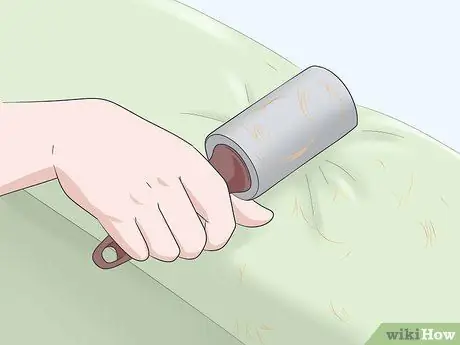 Контроль шерсти собак в доме Шаг 6