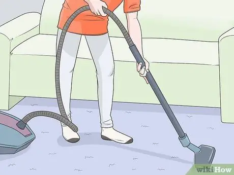 Контроль шерсти собак в доме Шаг 8