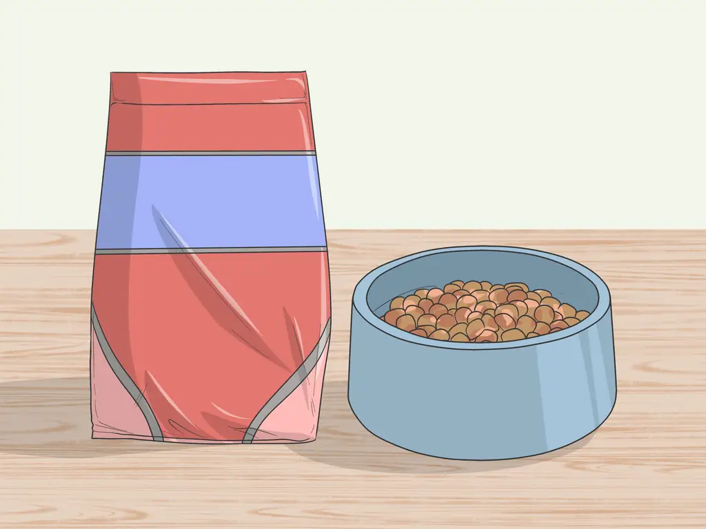 3 простых способа контролировать шерсть собаки в вашем доме