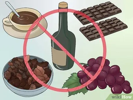 Защита вашей квартиры от кошек Шаг 9