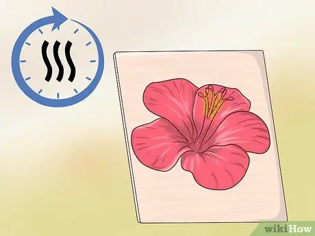 Аэрограф Step 7