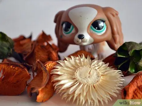 Сделайте хороший сериал ужасов Littlest Pet Shop, шаг 7
