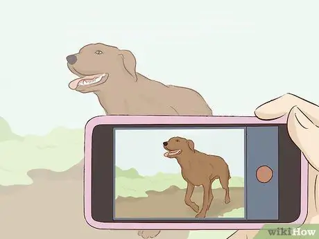 Изучите редактирование видео, шаг 1