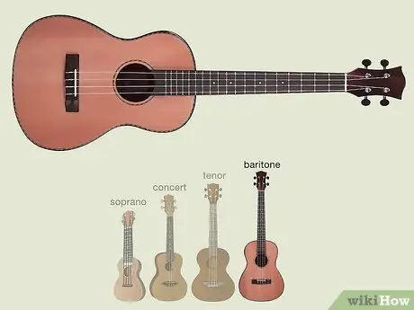 Купить гавайскую гитару Step 4