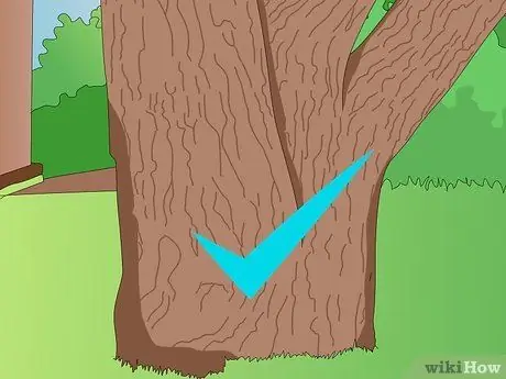 Играть в Hide and Seek Tiggy, шаг 8