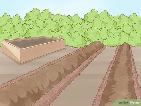 Вырастить сад Шаг 7