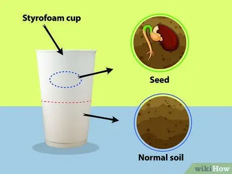 Повторно используйте пенополистирол Step 05