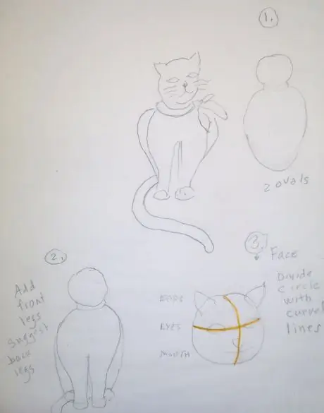 Drwacateasy