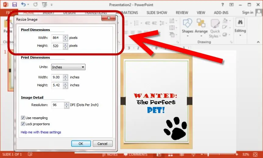 Как создать обложку книги с помощью PowerPoint: 6 шагов