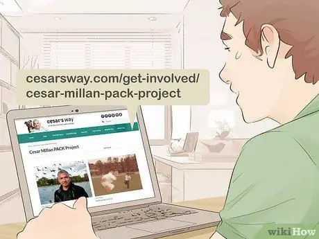 Связаться с Cesar Millan Step 10