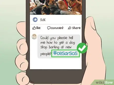Связаться с Cesar Millan Step 4