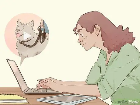 Связаться с Cesar Millan Step 5