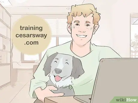 Связаться с Cesar Millan Step 7