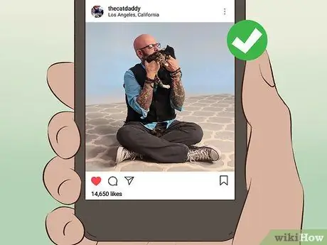 Связаться с Jackson Galaxy Step 4