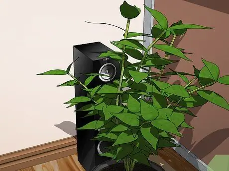 Скрыть динамики домашнего кинотеатра Шаг 4