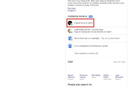Google Audience reviews