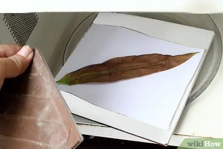 Нажмите Leaves Step 14