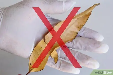 Нажмите Leaves Step 3