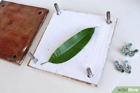 Нажмите Leaves Step 5