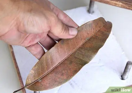 Нажмите Leaves Step 6