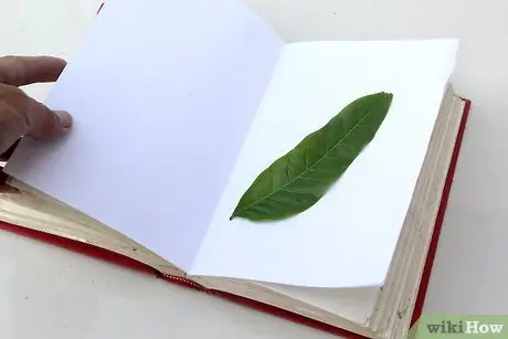 Нажмите Leaves Шаг 9