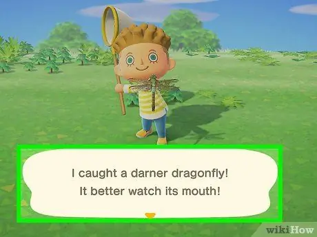 Откройте музей в Animal Crossing_ New Horizons, шаг 2