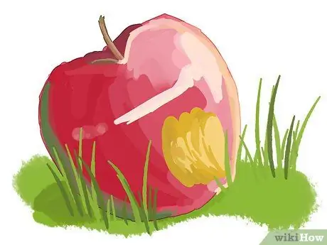Сон про фруктовые деревья Шаг 4