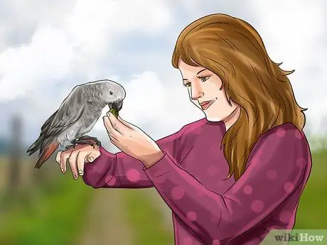 Акт Эльфийского в школе Шаг 6
