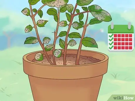 Уход за сеялкой Шаг 11