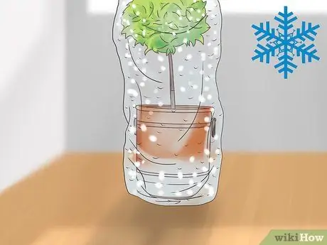 Уход за сеялкой Шаг 4