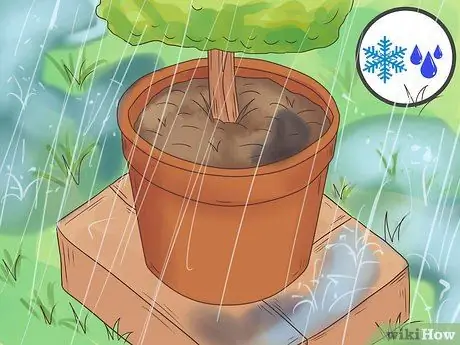 Уход за сеялкой Шаг 5