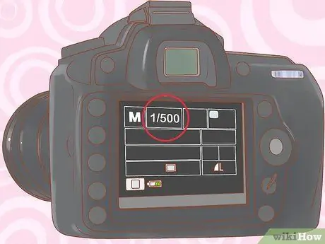 Сфотографируйте кошек Шаг 10 Сфотографируйте кошек Шаг 10