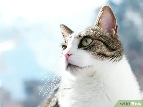 Сделайте лучшие фотографии из Instagram Шаг 13