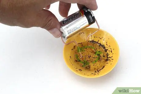 Сделайте двигатель из батареи, провода и магнита Шаг 14