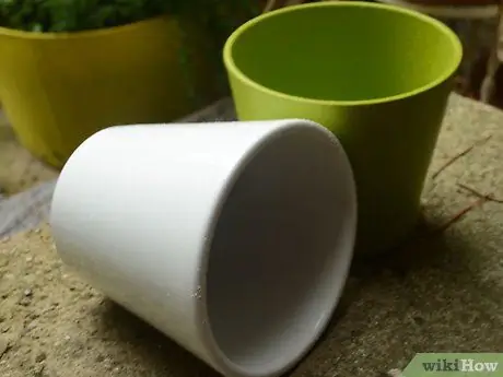 Пересадить орхидею Шаг 2