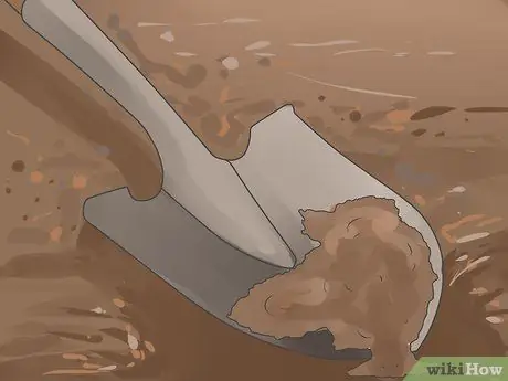 Уход за орхидеей в помещении Шаг 3