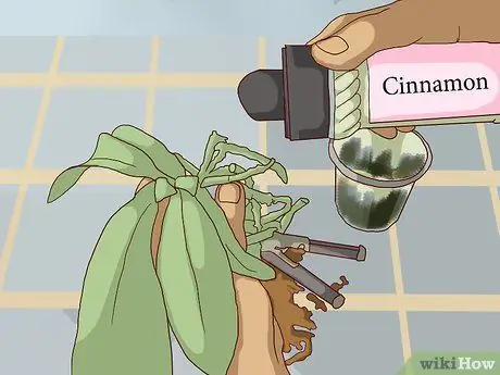 Пересадка орхидей Шаг 10