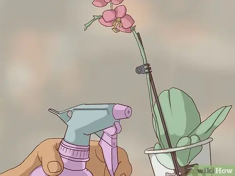 Пересадка орхидей Шаг 15